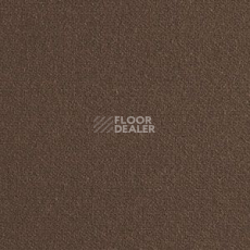 Ковролин Brintons True Velvet True Velvet Otter фото 1 | FLOORDEALER